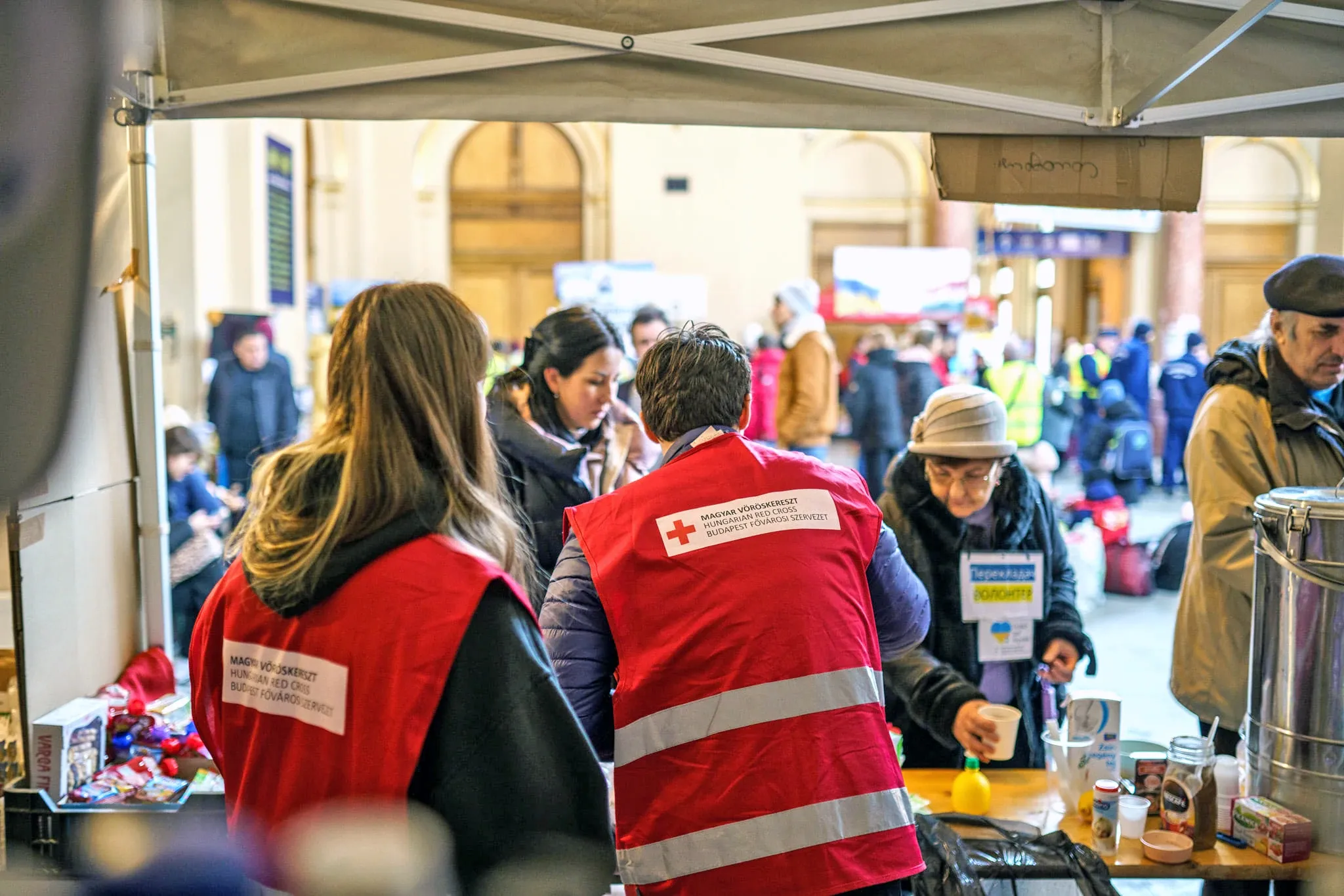 Looking out from a Hungarian Red Cross tent