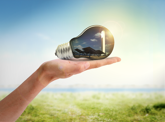 Suppliers sustainability lightbulb