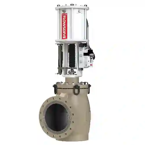 Linear Globe - Compressor Anti-Surge Valve