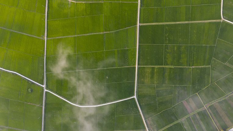 Agriculture