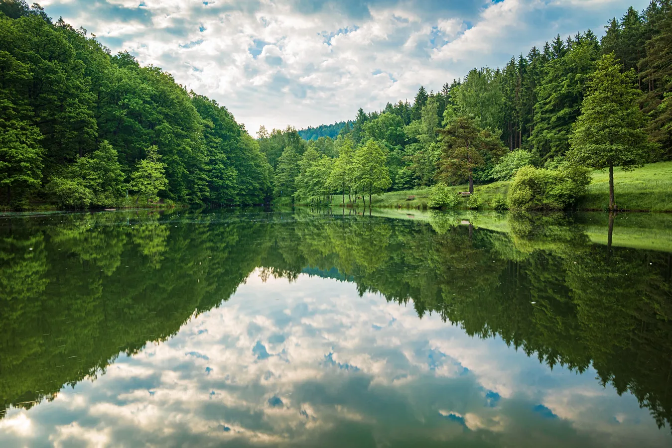 Beautiful River and Trees