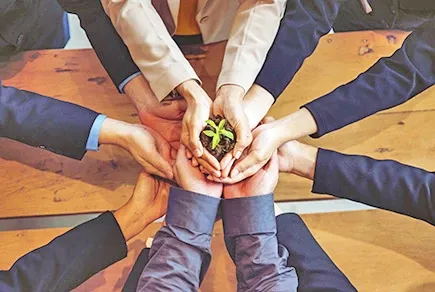 Trabajo en equipo para el medioambiente