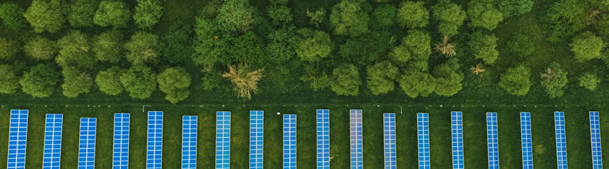 Solar Panel Array