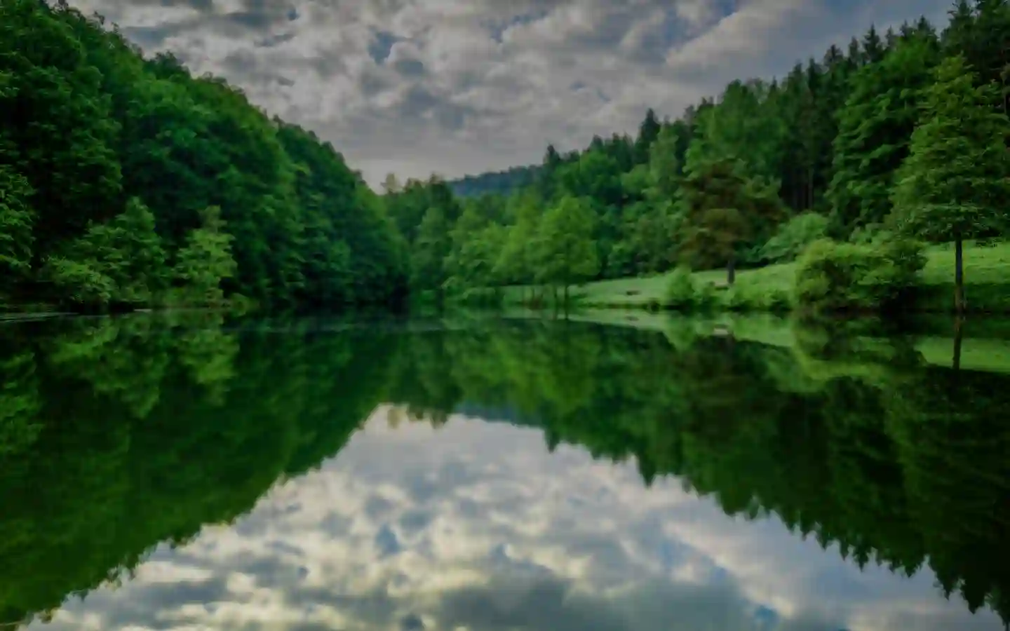 lago con bosque de árboles