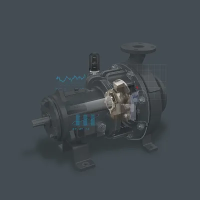 Seal Cutaway
