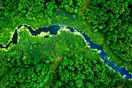 Río en el bosque visto desde arriba