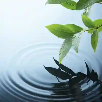 Leaf Making Ripples in Water