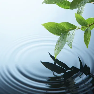 Leaf Making Ripples in Water