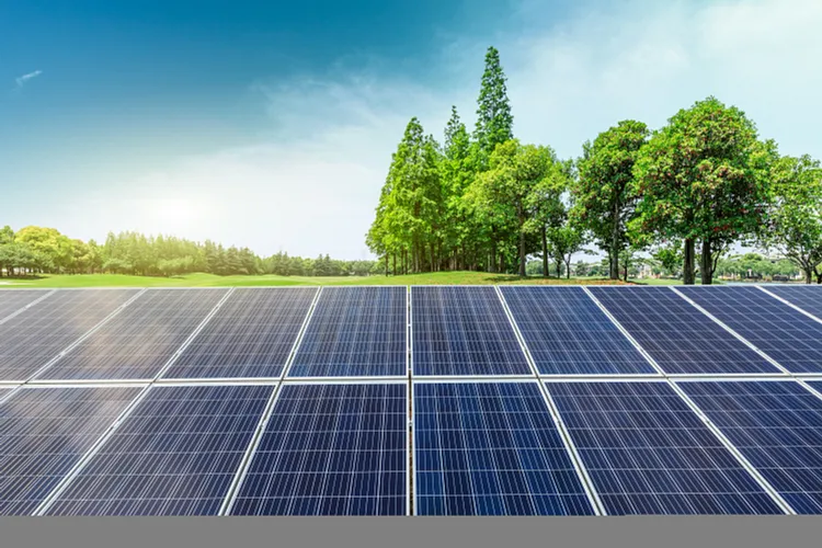 Conjunto de paneles solares cerca de algunos árboles
