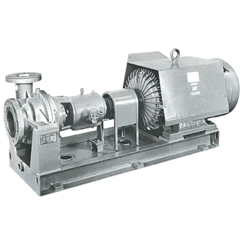 API Process Pumps - HNN