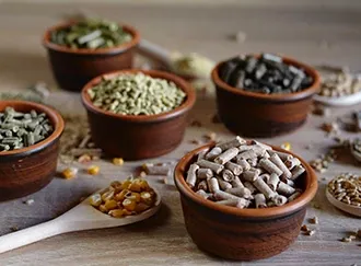 Bowls of Animal Feed