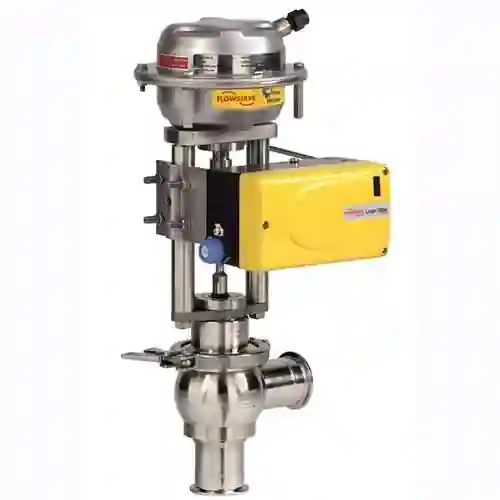 Linear Globe/Angle Control Valves - CleanFlow