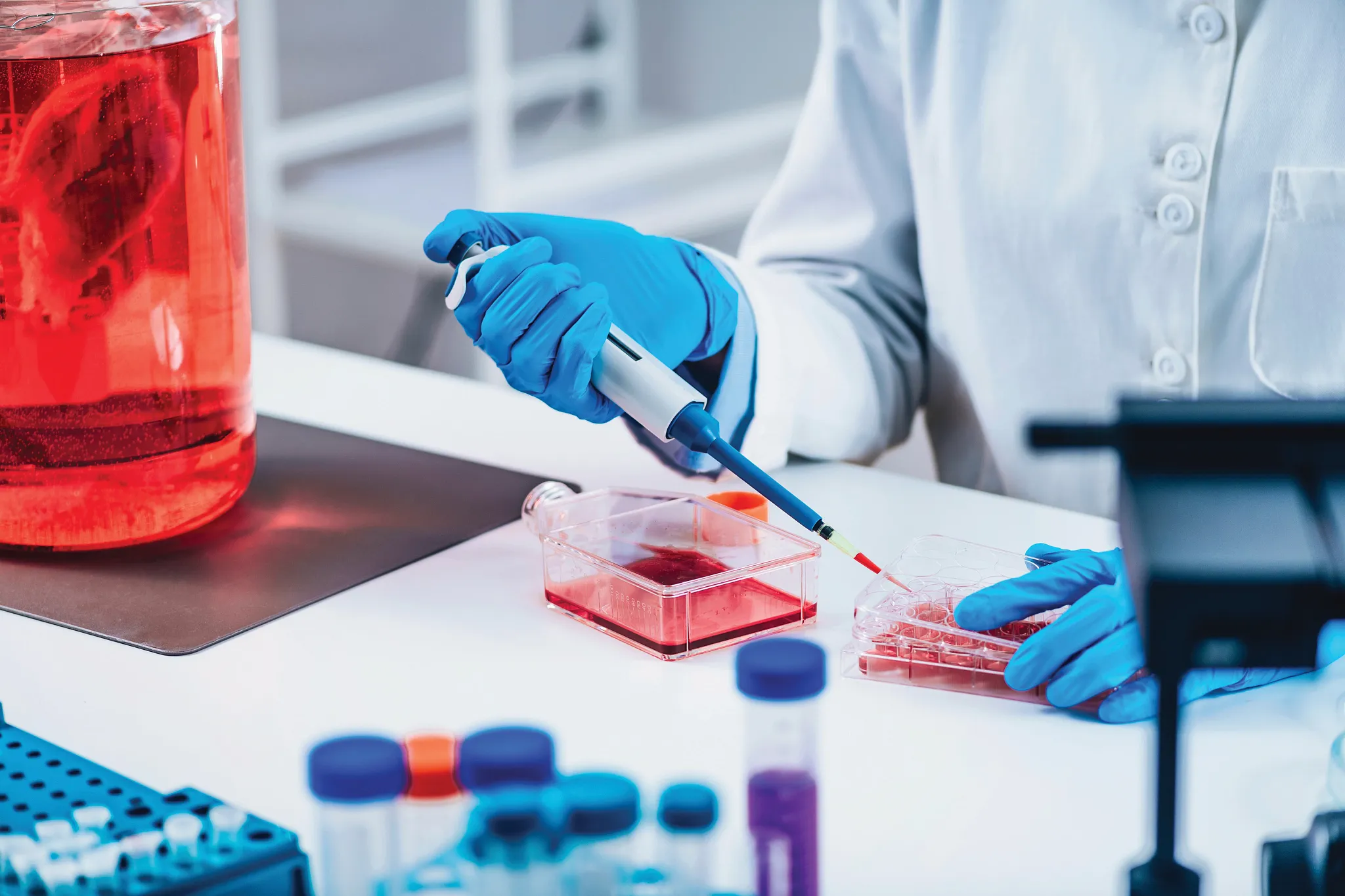 一位女性生物技术研究员在实验室中进行细胞培养